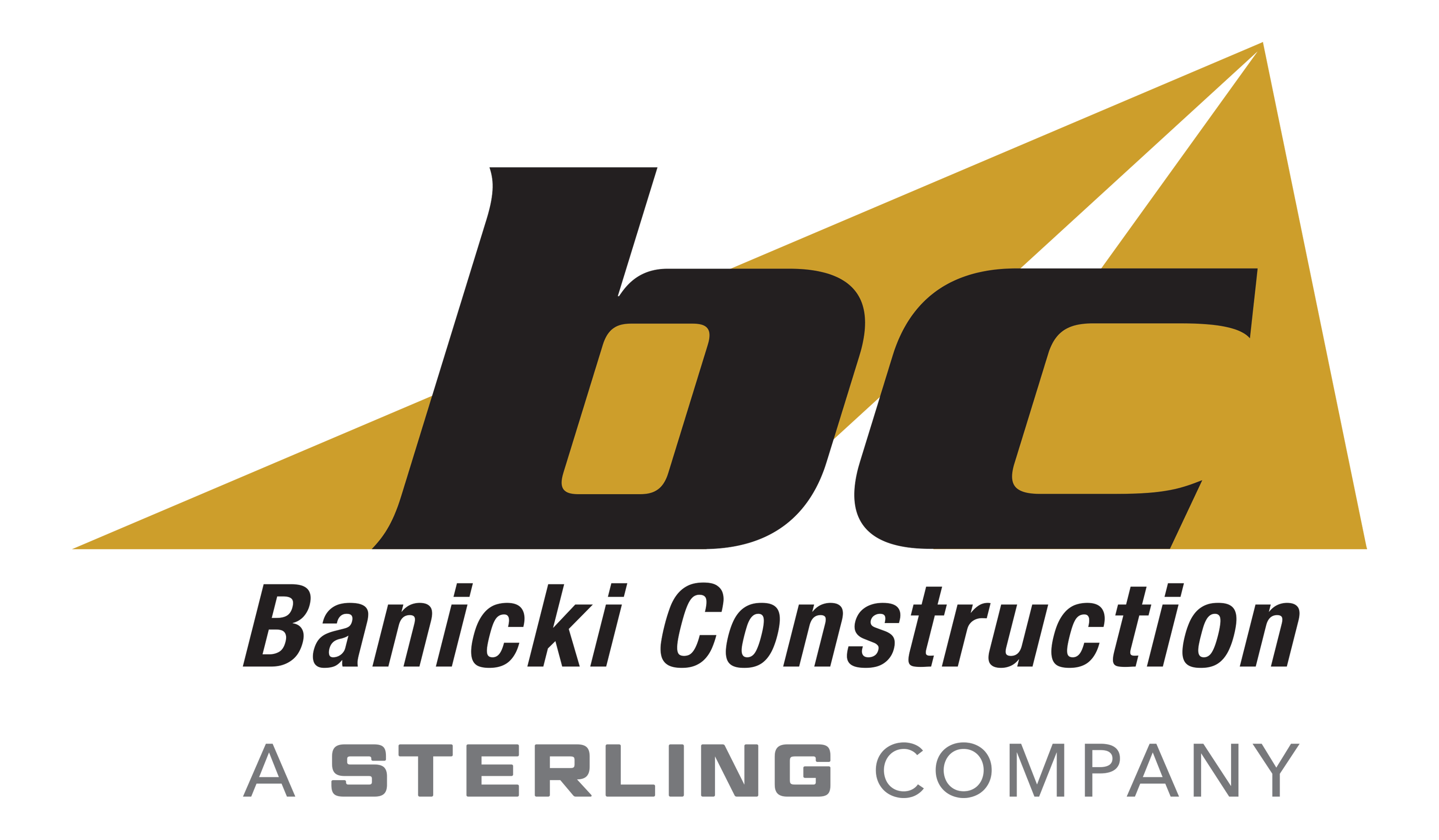 Banicki Construction